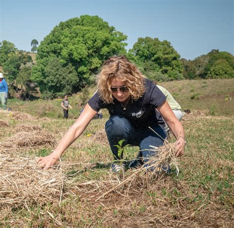 ngo internships london|Charities & NGOs Internships in London .